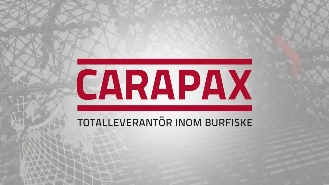 Carapax